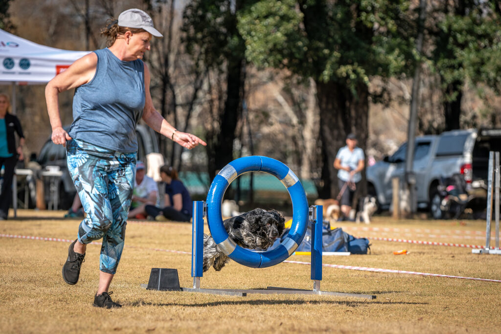 18 pm agility jj 46