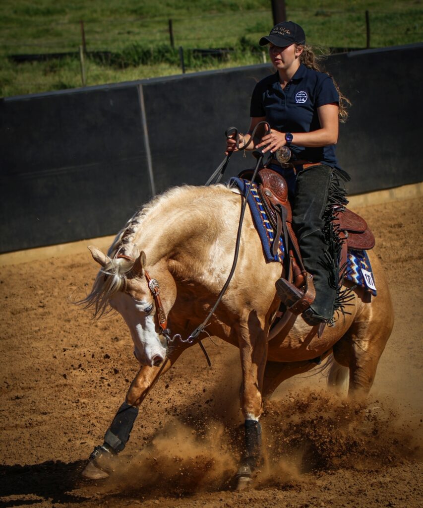 Horses DT (21)