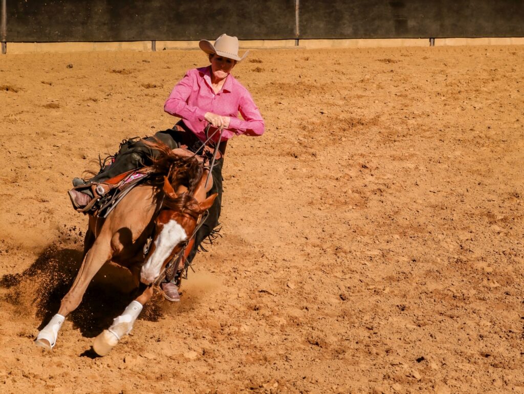 Horses WL (102)