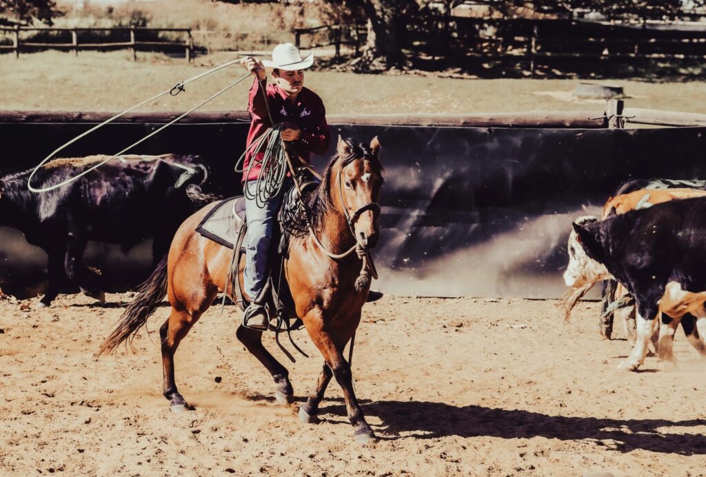 Horses WL (23)